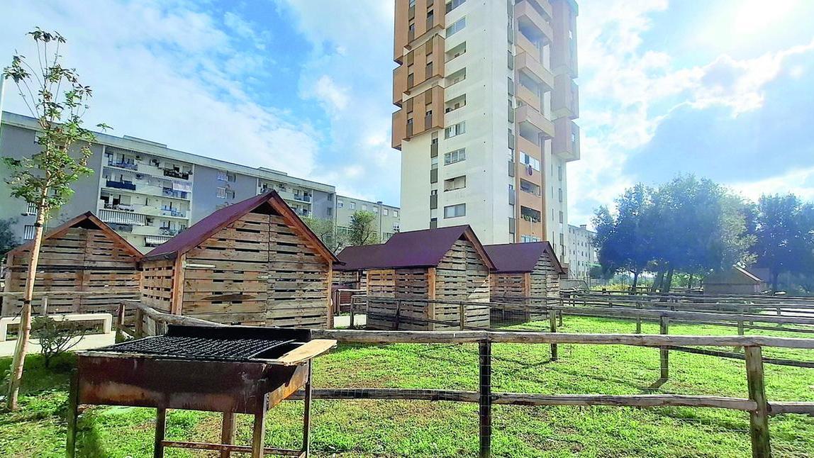 Sassari, esperimento fallito: gli orti urbani saranno rimossi – Ecco perché