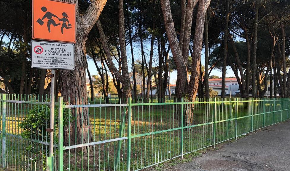 
	Il parco tra via Galilei e via Bassagrande a Carrara (foto d'archivio)

