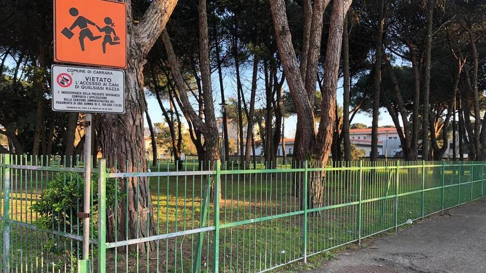 Il parco tra via Galilei e via Bassagrande a Carrara (foto d'archivio)