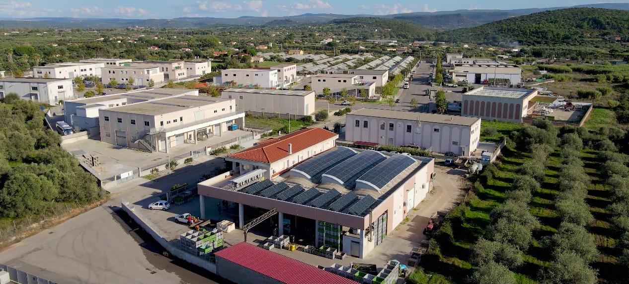 Accademia Olearia: l’olio che conquista il mondo ha il gusto della tradizione