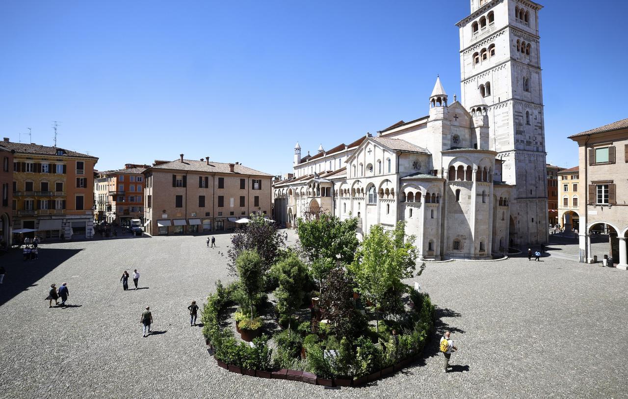 
	Il giardino della salute e del benessere in piazza Grande a Modena

