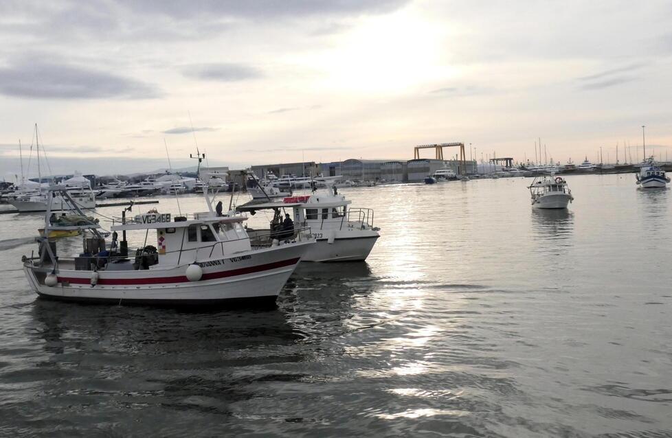 Guerra e caro gasolio mettono a rischio (anche) il pescato: aumenti sul prezzo del pesce? Il caso della Versilia