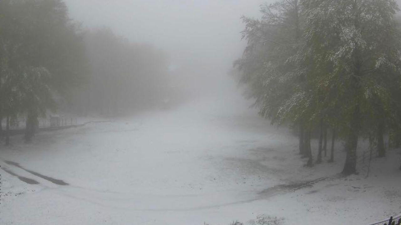 
	La neve sull'Amiata

