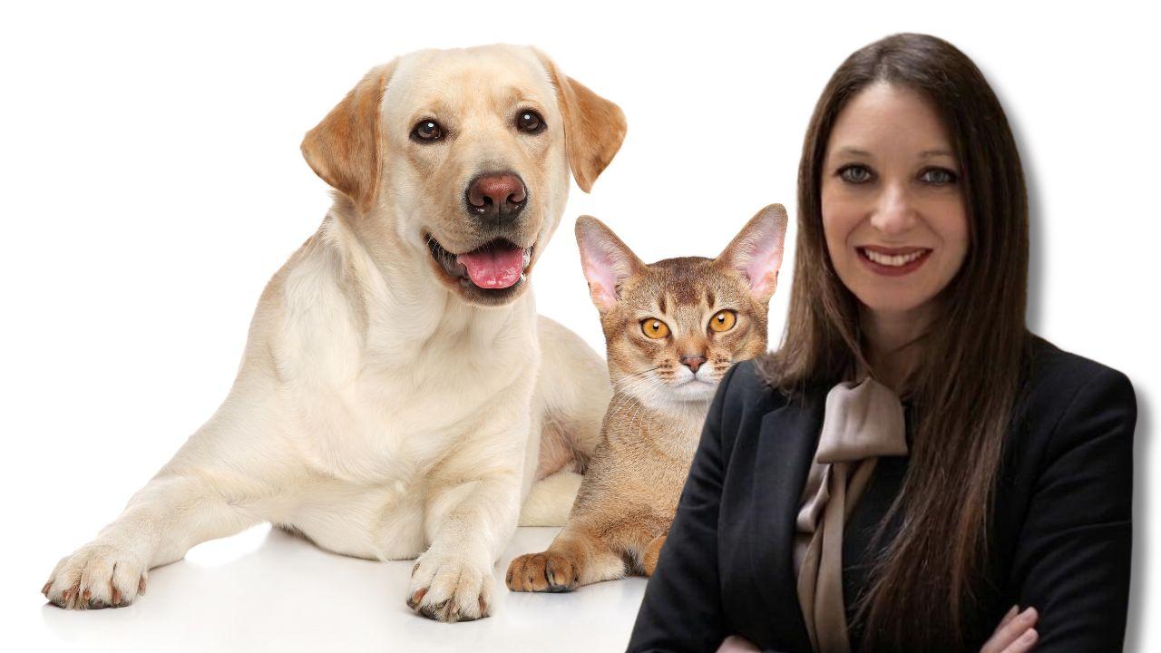 Per gli animali domestici
microchip e registrazione
in banche dati nazionali