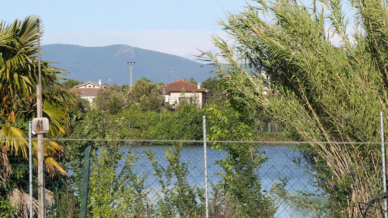 Pistoia, allarme coccodrillo in un laghetto: l’indagine e la strategia per capire se c’è davvero