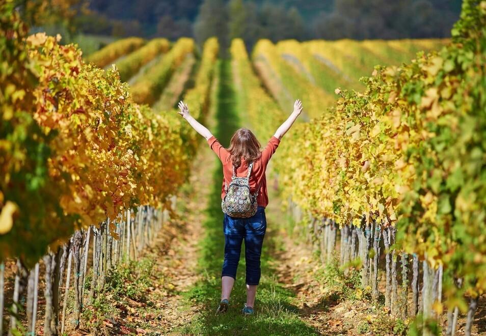 La vacanza di “rigenerazione”, wine lovers: ecco l’ultima novità dell’enoturismo (in continua crescita)
