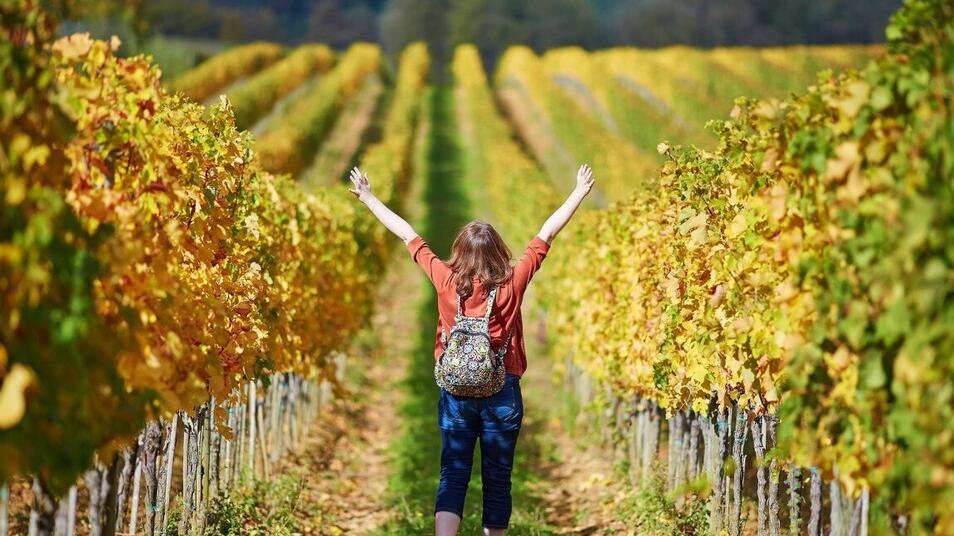 La vacanza di “rigenerazione”, wine lovers: ecco l’ultima novità dell’enoturismo (in continua crescita)