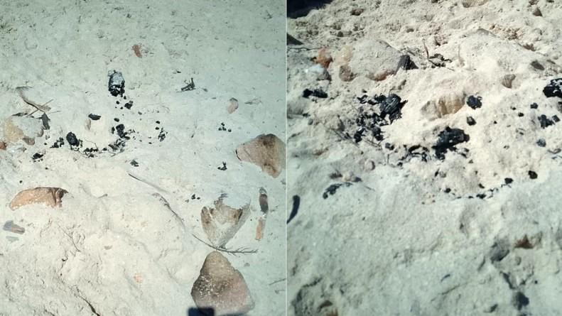 Falò nella spiaggia di Cala Coticcio, la denuncia del Parco: «Attacco diretto a un santuario di biodiversità»