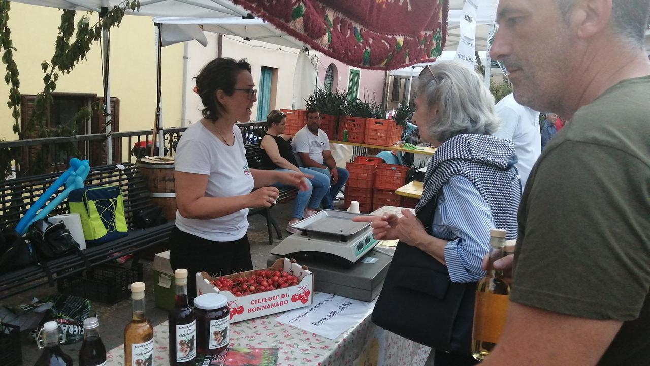 Bonnanaro, tre giorni di eventi per la 34ª Fiera delle Ciliegie