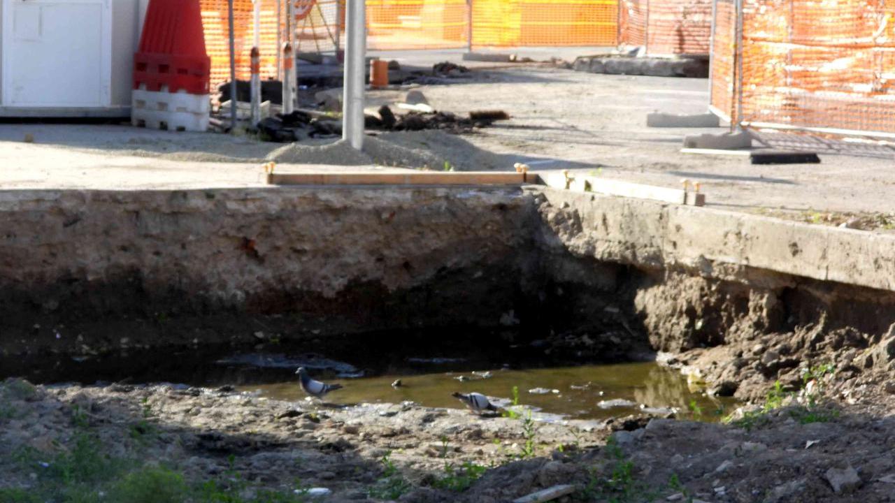 Zanzara killer, la pozza nel cantiere comunale fa paura: i residenti temono la West Nile