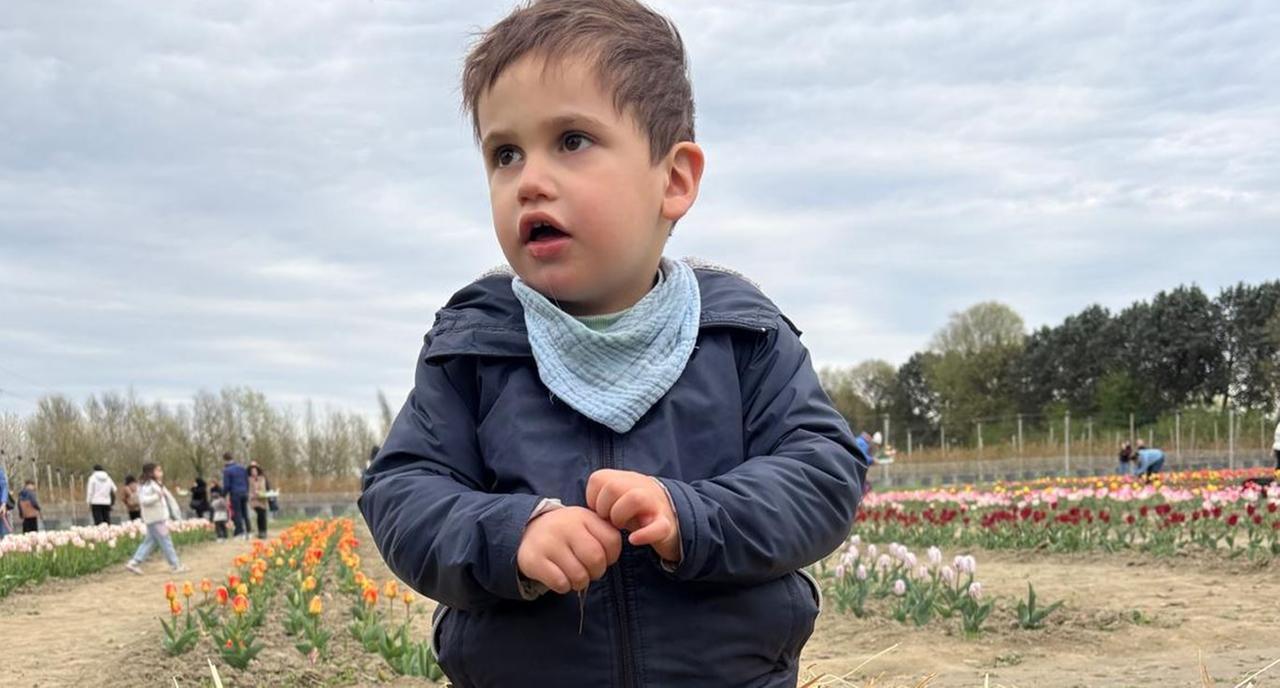 Ferrara, al via la raccolta fondi “Un aiuto per Diego”