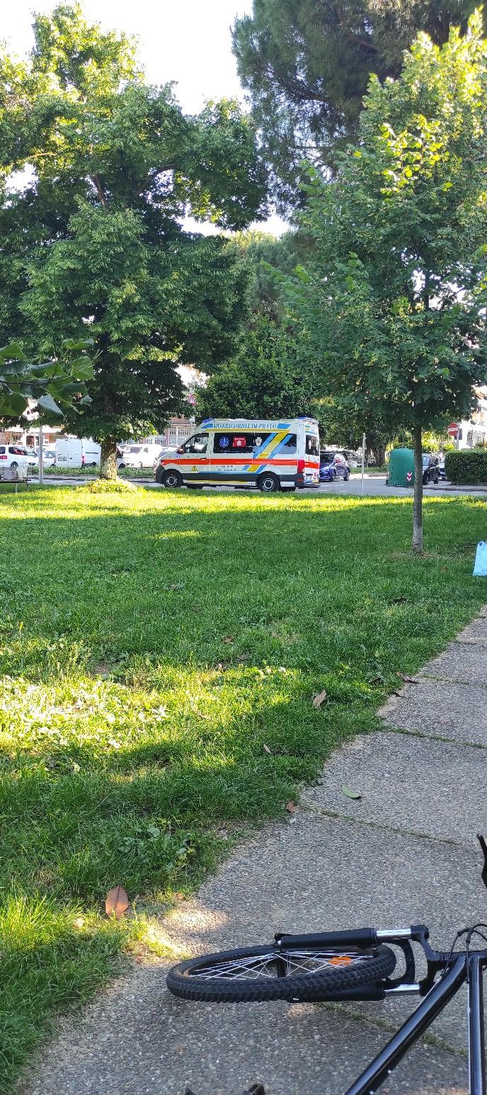 
	L'intervento della Misericordia ai giardini delle Badie

