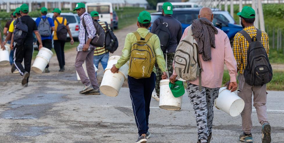 Ferrara, stranieri stabili o più poveri? Cala il denaro verso l’estero