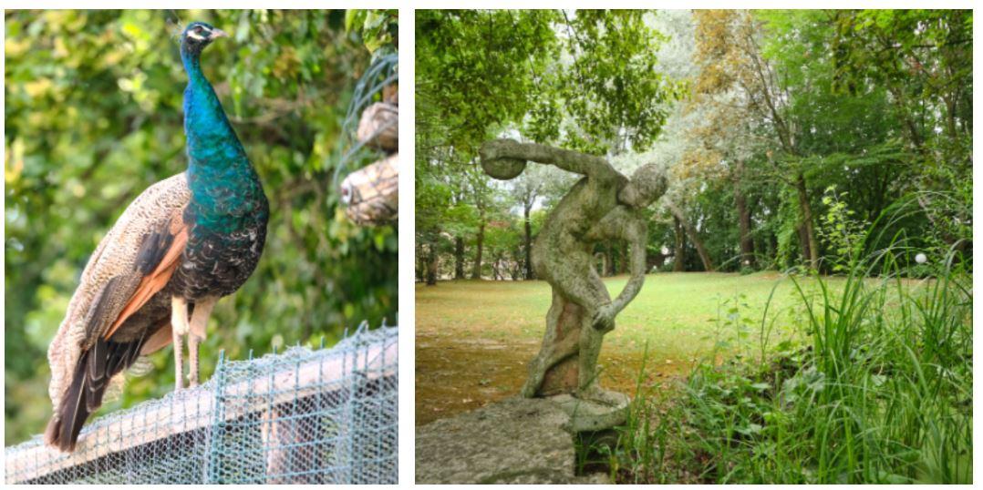 Il giardino segreto della Bassa apre al pubblico: visite Fai al Parco dell’Olmo di Guastalla