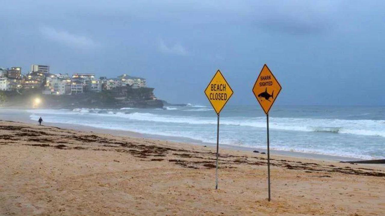 
	(foto da Adnkronos)

