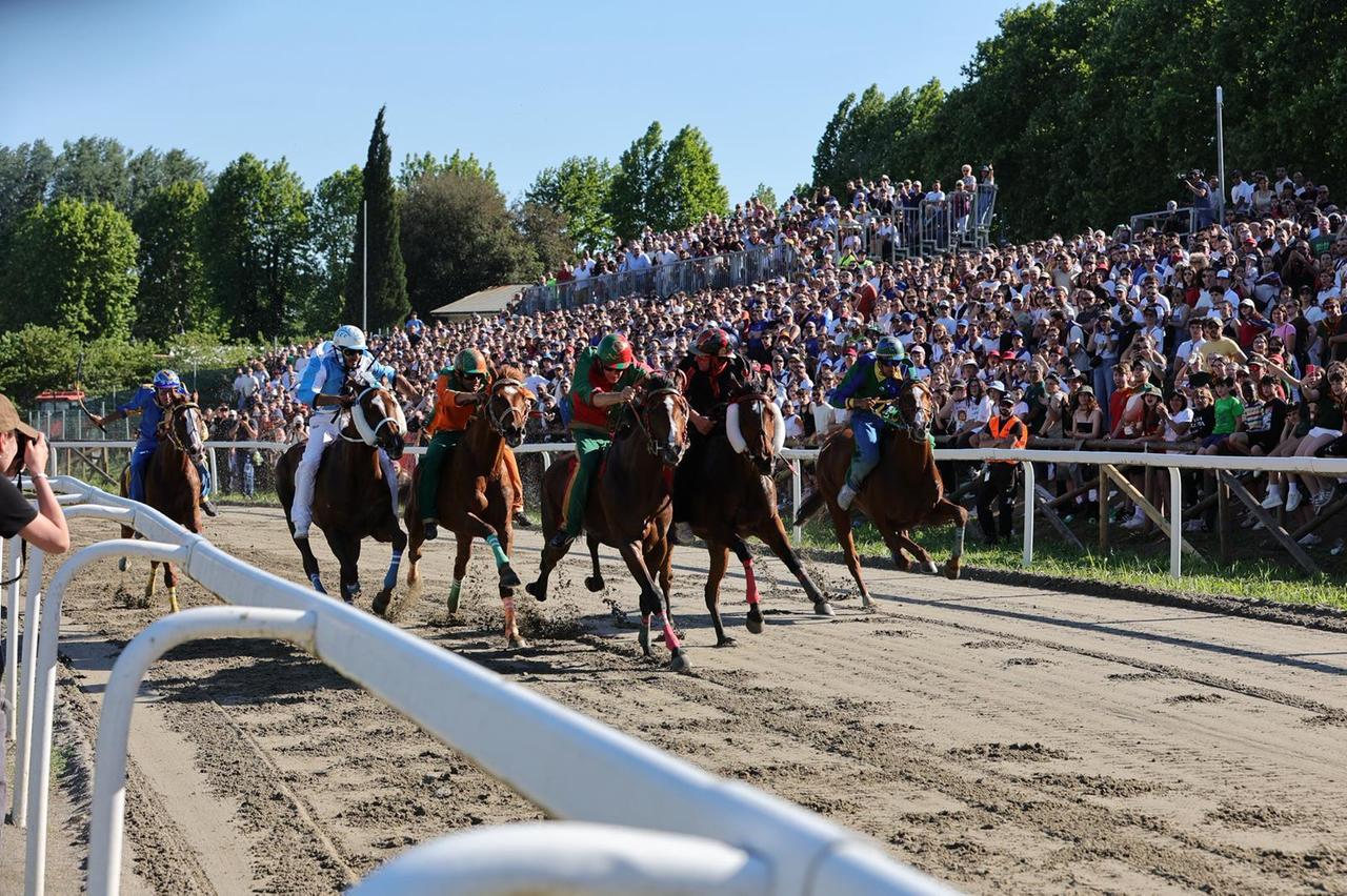 Palio di Fucecchio 2026: ecco la finale, chi si contende il cencio. Le nostre previsioni – Diretta