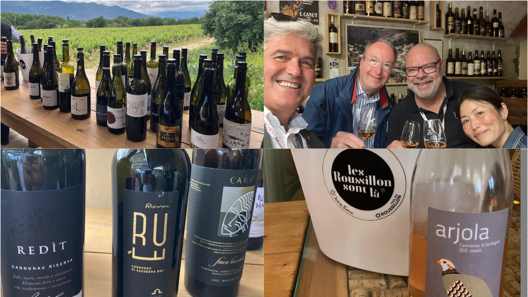 La Sardegna trionfa al prestigioso Grenaches du Monde: premiati 37 vini – Ecco l’elenco completo