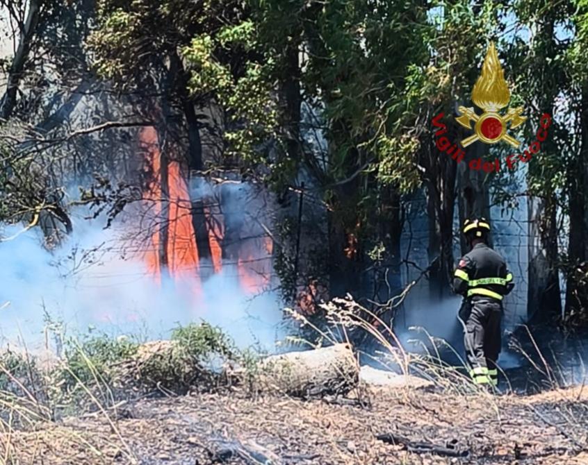Domenica di fuoco, la stagione degli incendi è già cominciata: case, aziende e auto minacciate dalle fiamme – Ecco che cosa succede