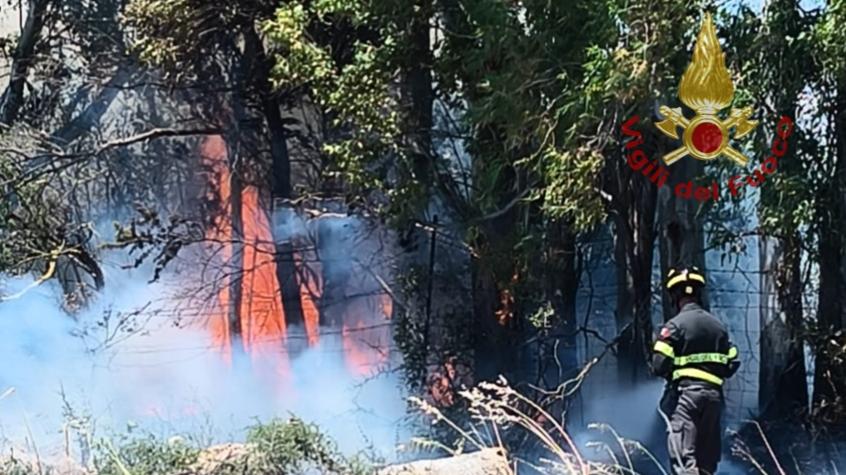 Domenica di fuoco, la stagione degli incendi è già cominciata: case, aziende e auto minacciate dalle fiamme – Ecco che cosa succede
