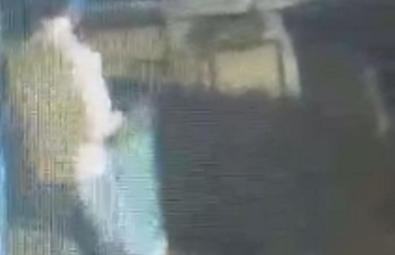 
	Uno dei ragazzi sorpresi mentre gettava oggetti in mare

