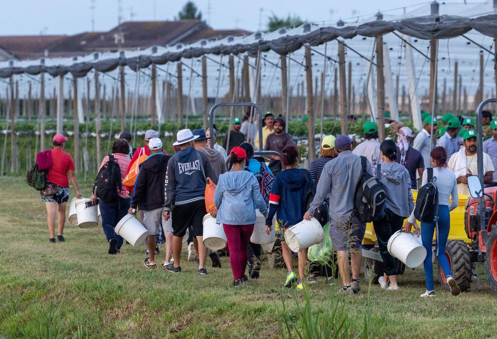 Lotta ai documenti falsi: a Portomaggiore palmari per controllare l’identità