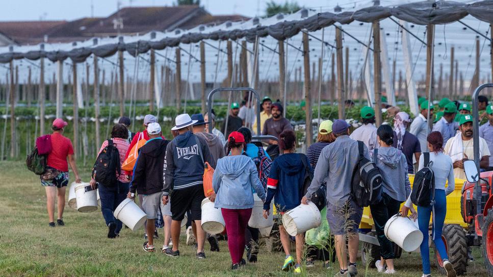 Lotta ai documenti falsi: a Portomaggiore palmari per controllare l’identità