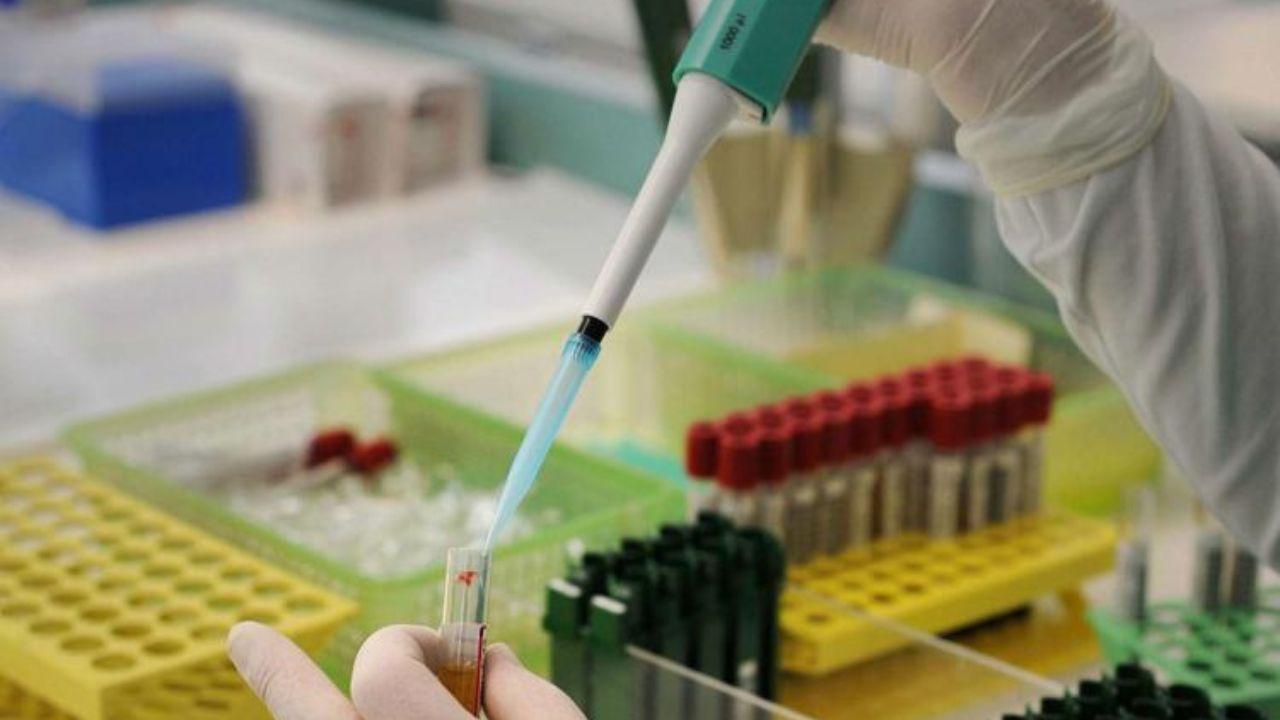 Prelievi, a Livorno vergogna senza fine: «Cinque ore per fare le analisi» – Nuovo guasto al sistema