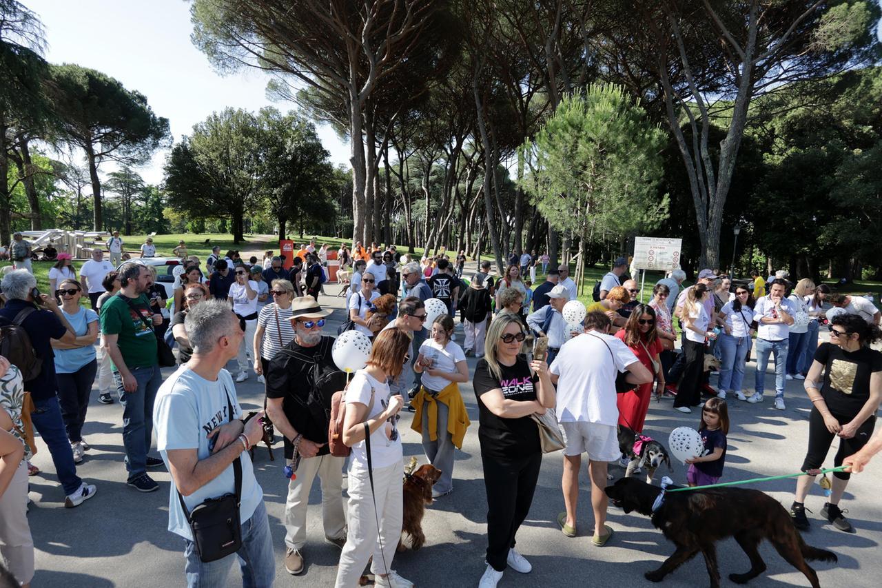 
	I partecipanti all'evento (foto Nucci)

