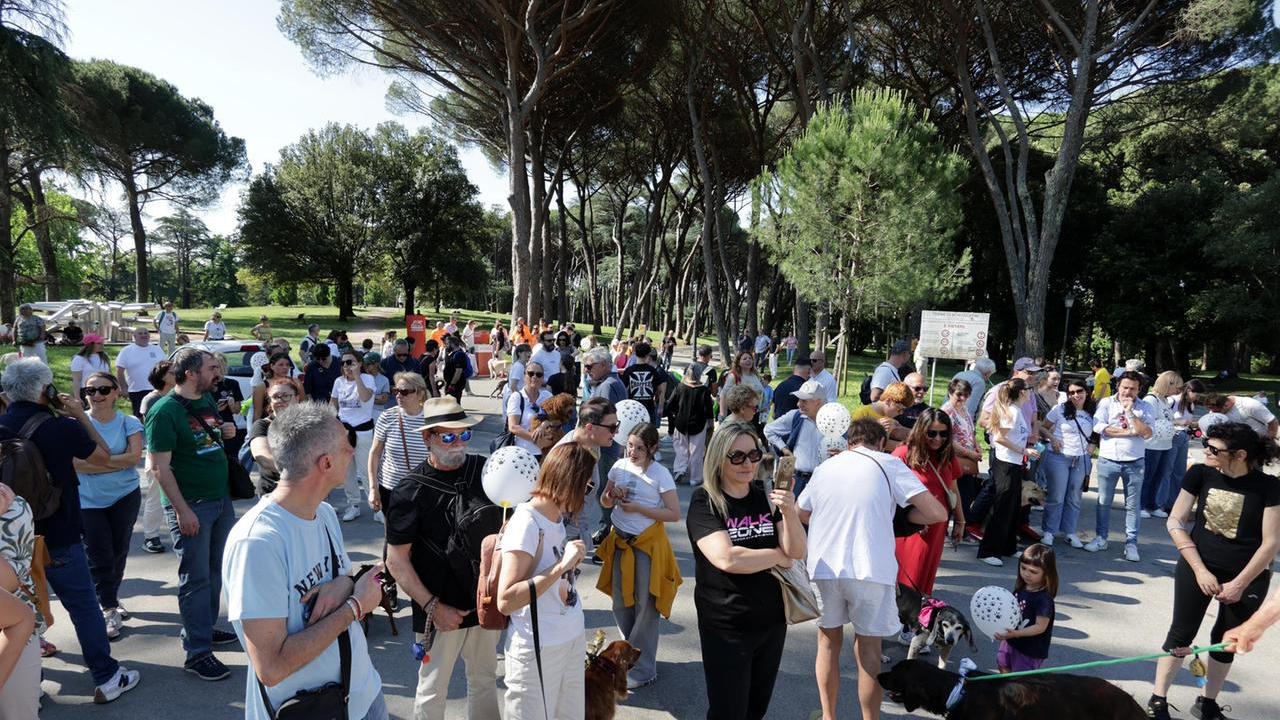 I partecipanti all'evento (foto Nucci)