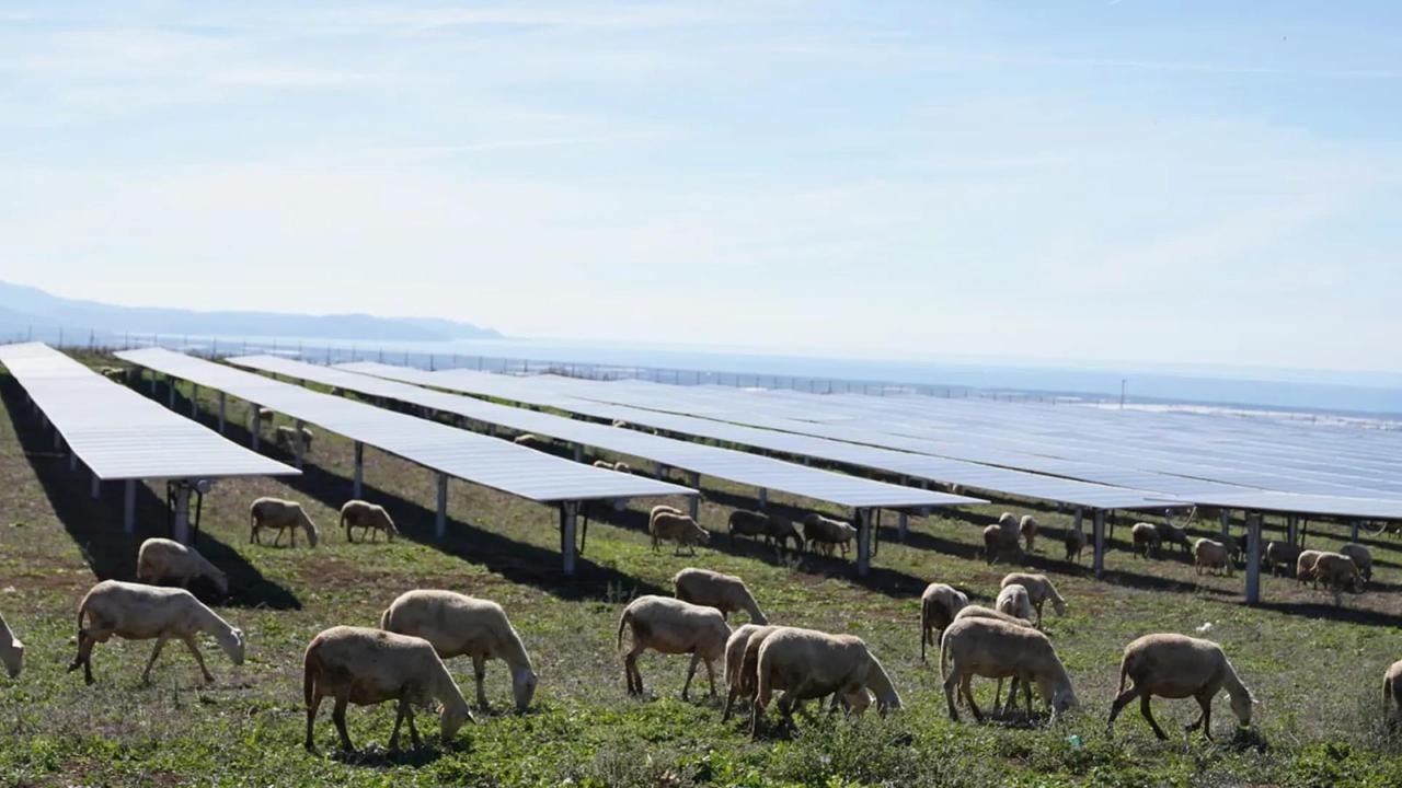 Energie rinnovabili, ecco quali sono gli impianti di agrivoltaico per i quali la Consulta ha imposto lo stop