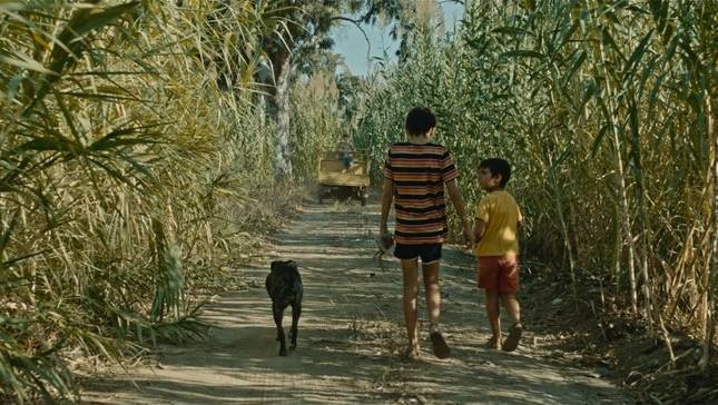 Il cinema made in Sardegna conquista il Queensland