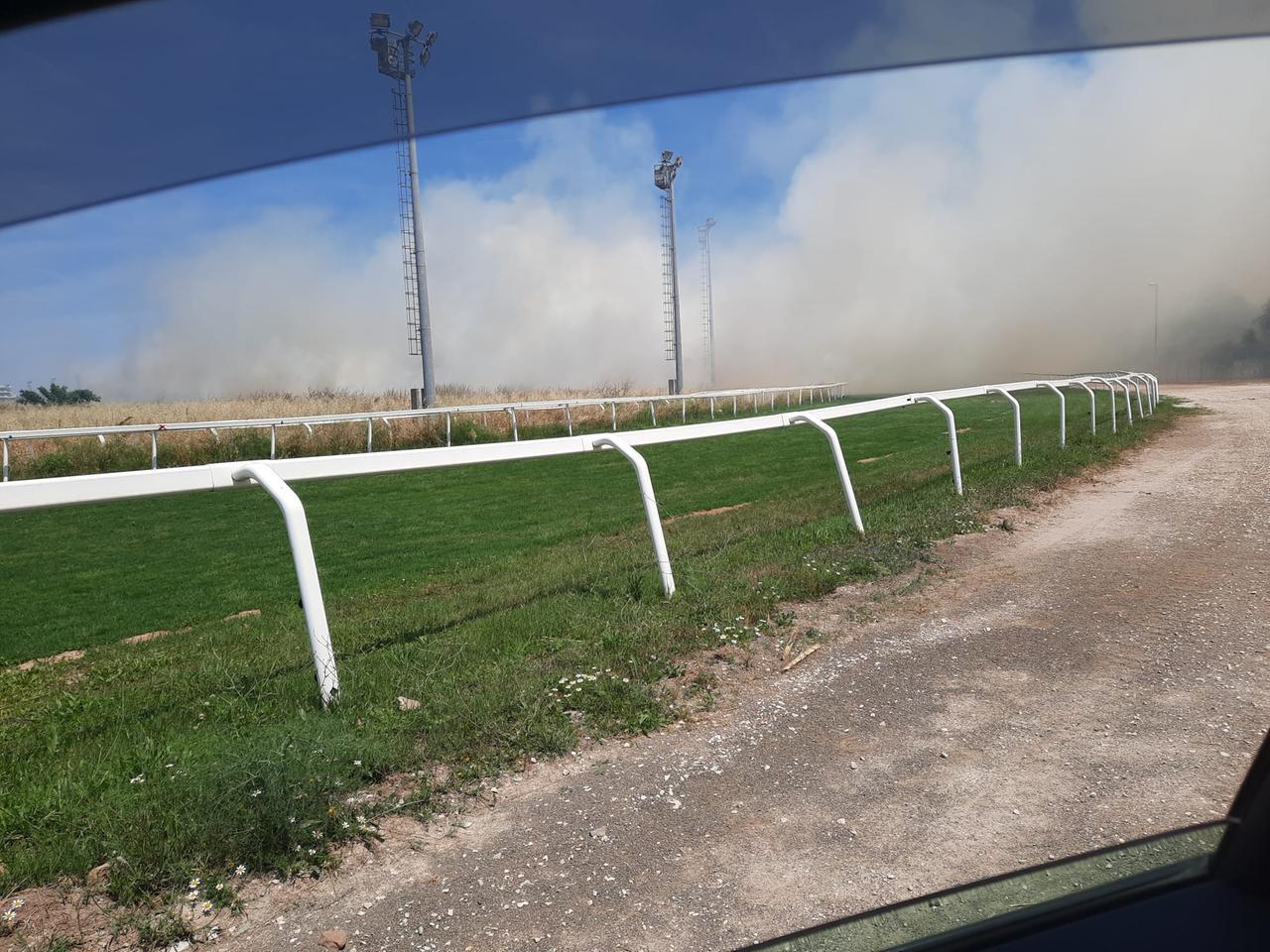 Sassari, fiamme all’interno dell’ippodromo: danni per oltre 20mila euro