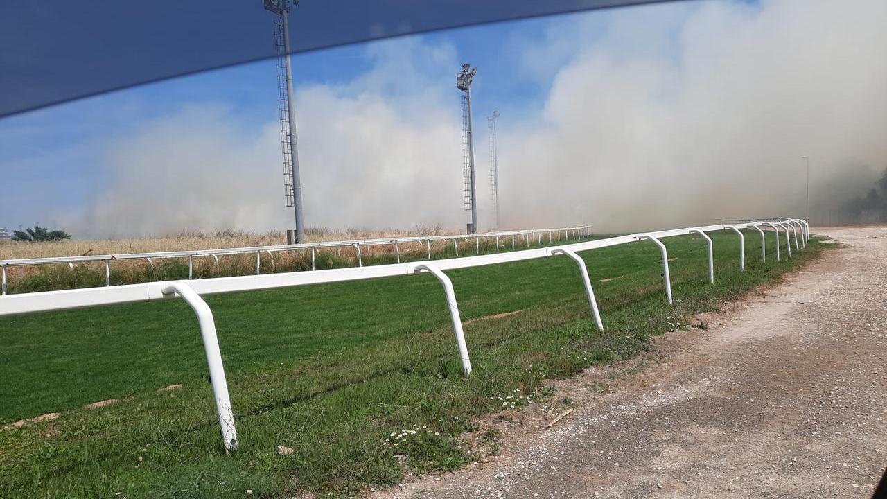 Sassari, fiamme all’interno dell’ippodromo: danni per oltre 20mila euro