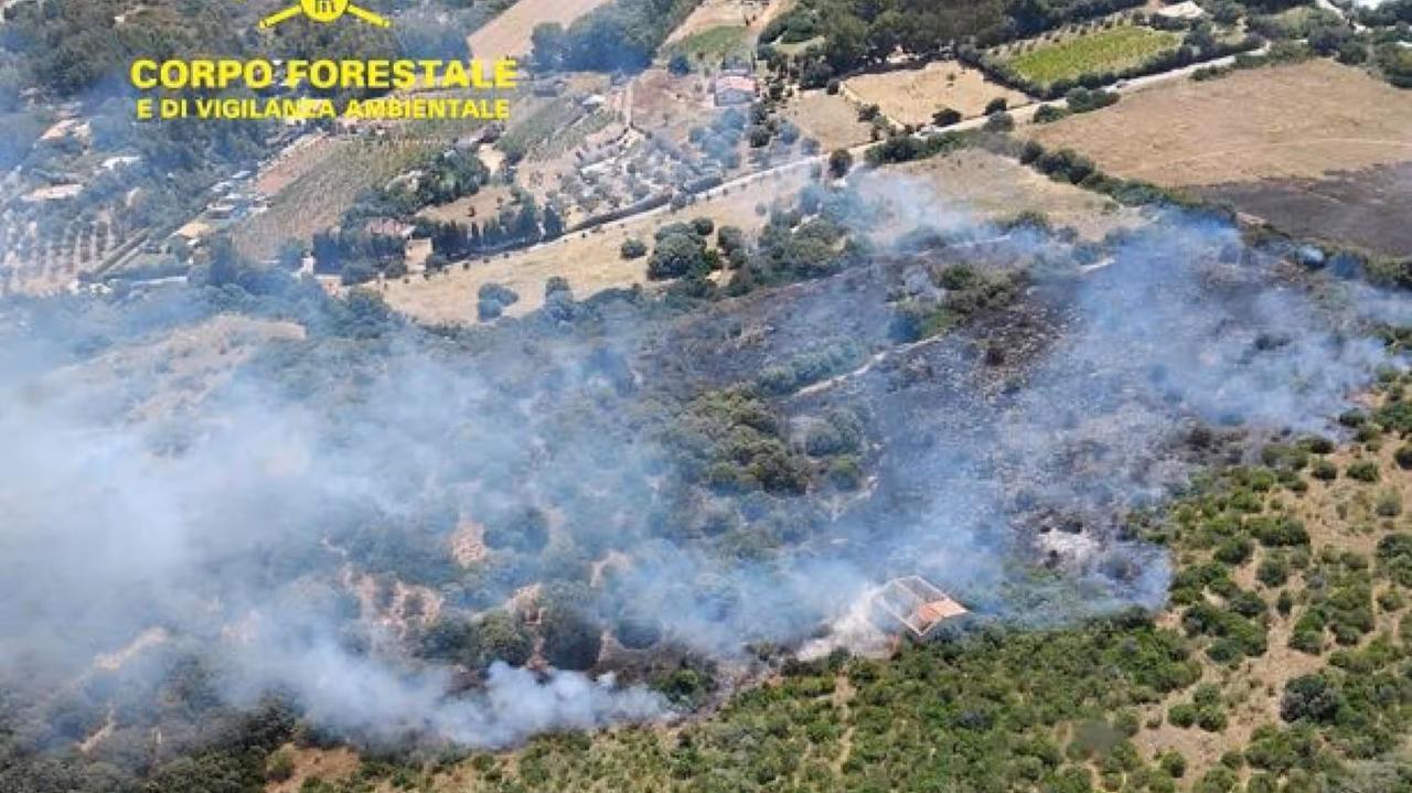 Le fiamme minacciano le abitazioni, evacuate diverse persone: momenti di paura per due disabili