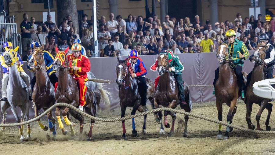 La notte del Palio a Ferrara: in piazza Ariostea è l'ora dei campioni