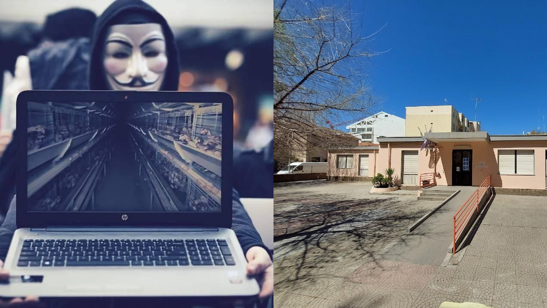 Video choc sui macelli mostrati ai bambini delle elementari di Alghero: lacrime in classe, attivisti Anonymous cacciati dalla scuola