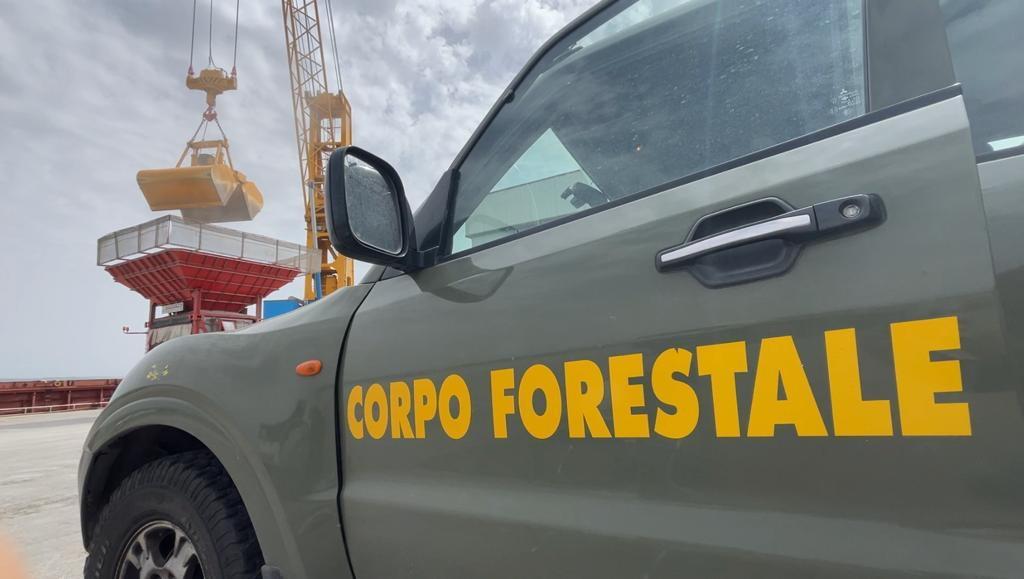 Pomeriggio di fuoco in Sardegna, le fiamme minacciano le abitazioni in periferia: traffico in tilt