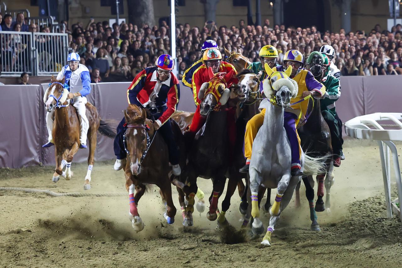Il Palio incanta Ferrara, spalti gremiti per le corse: tutti i vincitori e un risultato storico