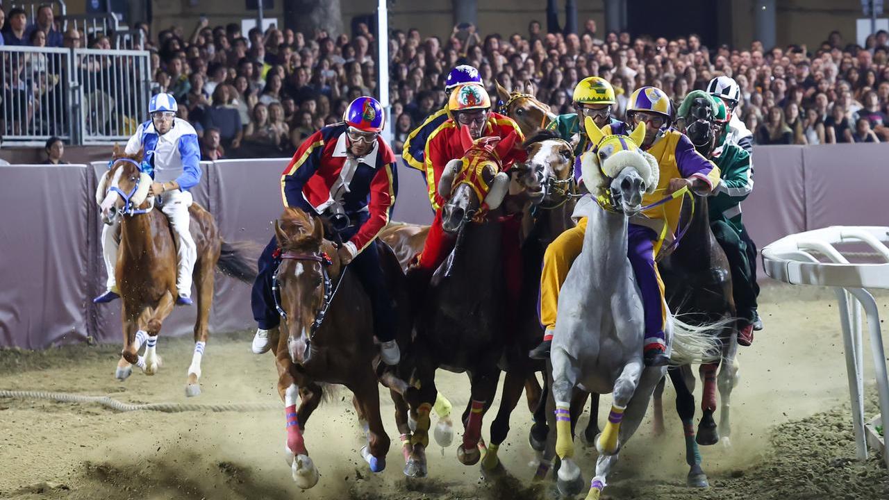 Il Palio incanta Ferrara, spalti gremiti per le corse: tutti i vincitori e un risultato storico