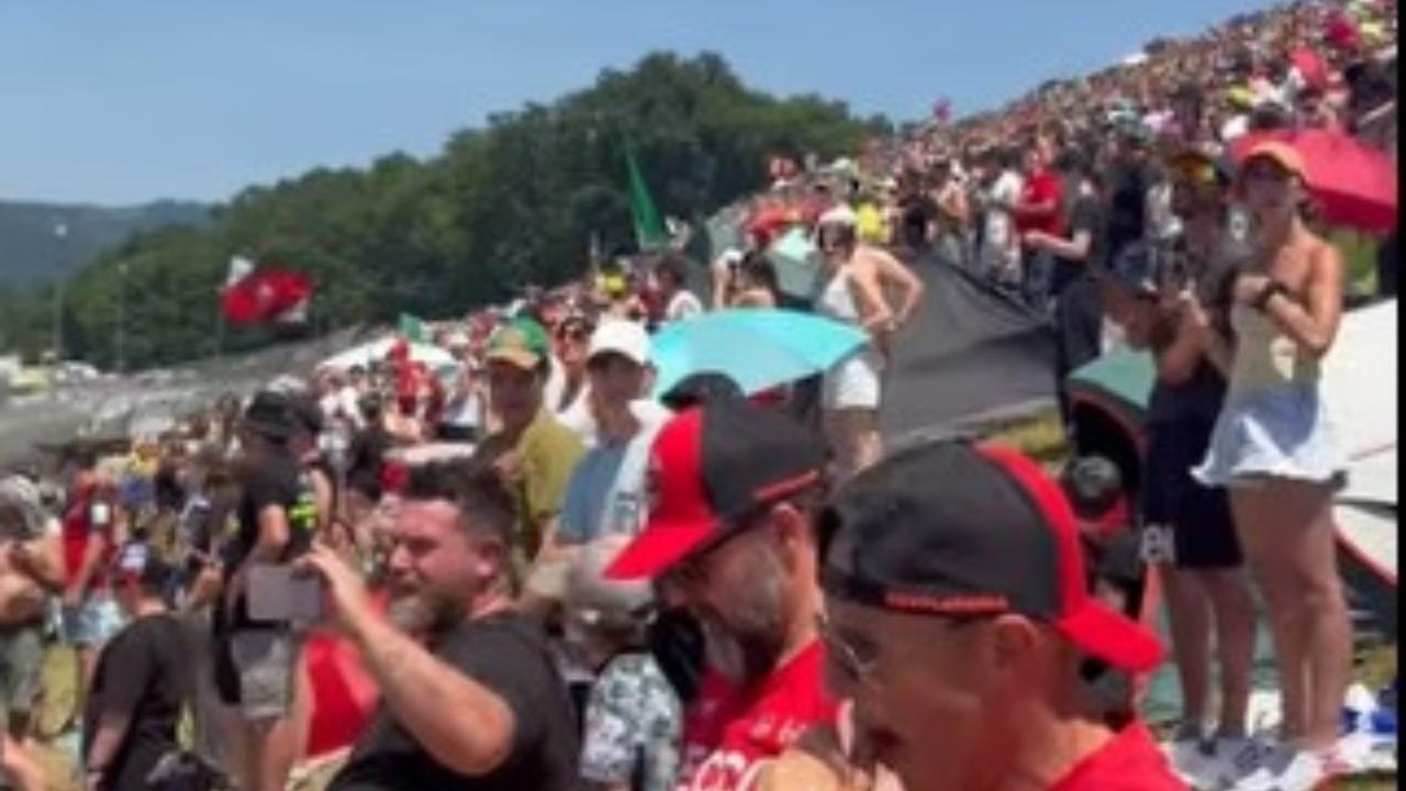 
	Tifosi al Mugello

