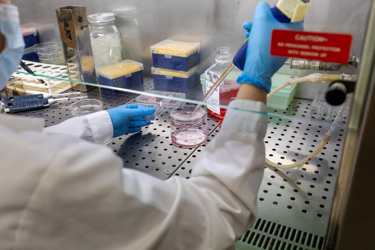 Unife, la ricerca è di qualità ma non riesce a decollare