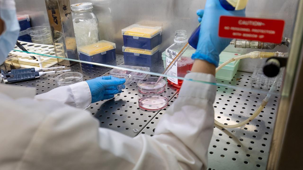 Unife, la ricerca è di qualità ma non riesce a decollare