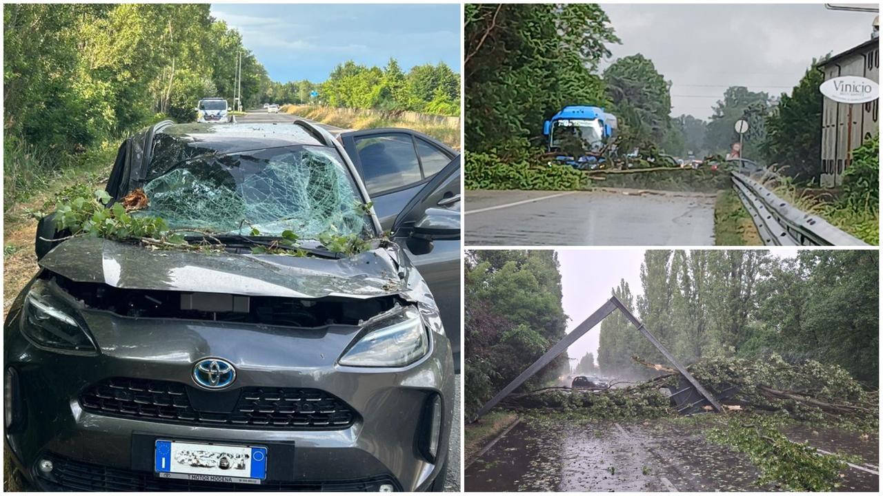 Maltempo, grandine a Carpi e il vento sradica alberi ovunque: tragedia sfiorata a Modena