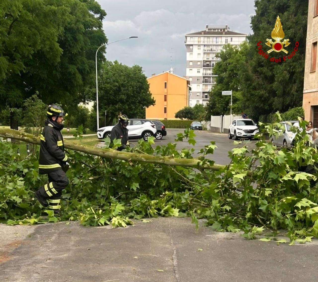 Maltempo, oltre 30 interventi dei vigili del fuoco in tutta la provincia