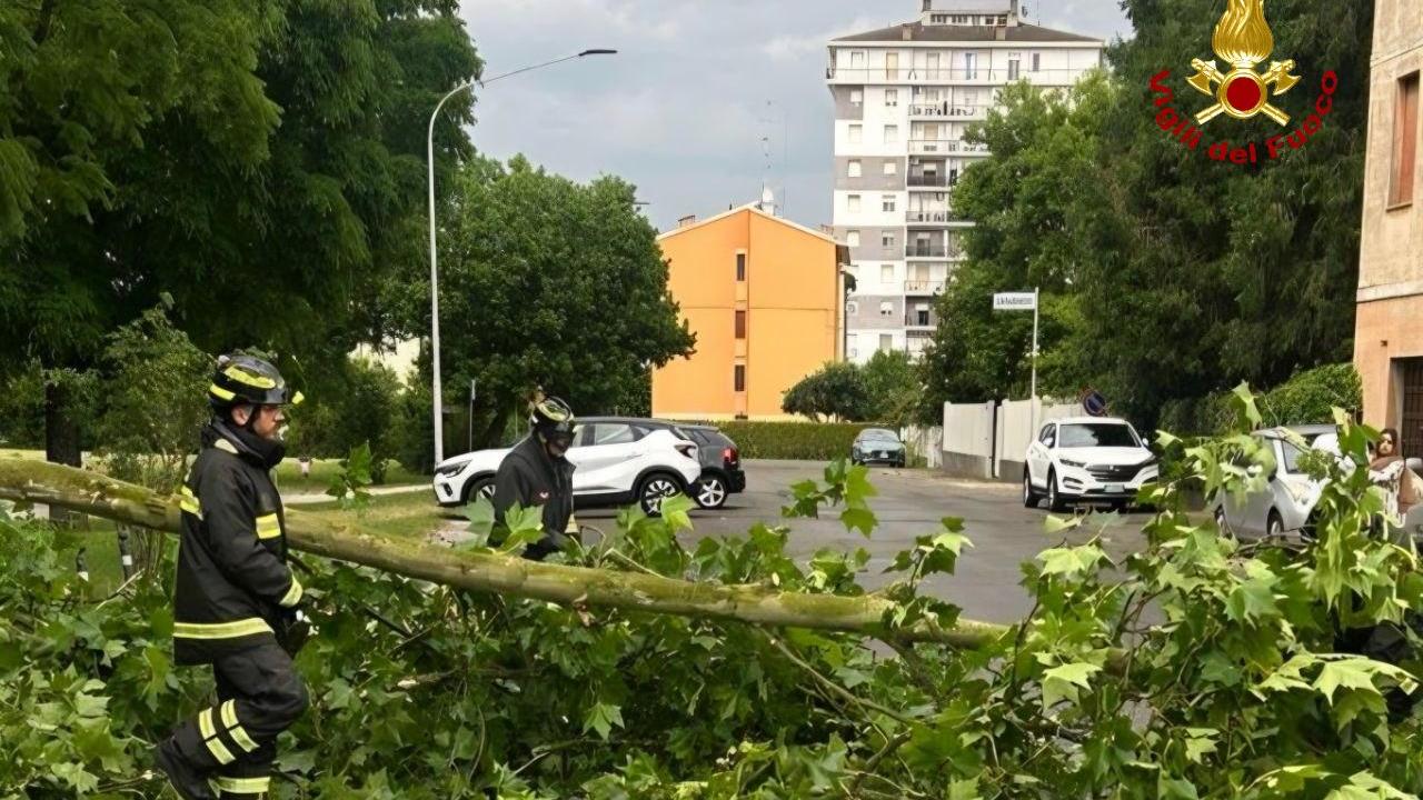 Maltempo, oltre 30 interventi dei vigili del fuoco in tutta la provincia