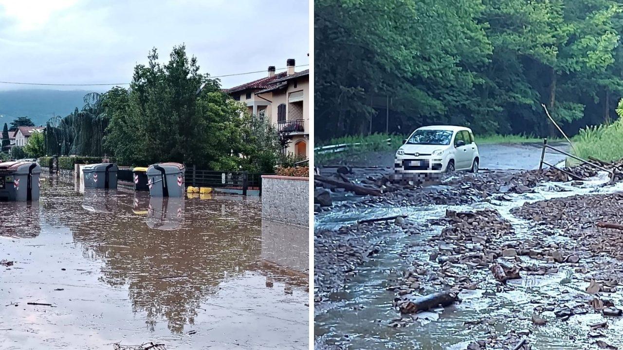 Cassonetti in strada (foto di Annalisa Paolieri) e la provinciale Riola (