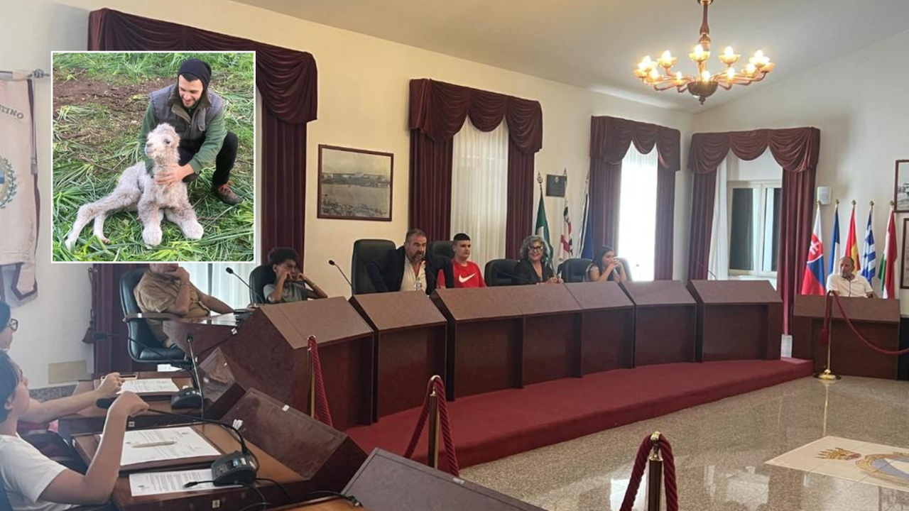 Un allevamento di cammelli a Stintino, l’idea del consiglio comunale dei giovani: «Ideale per la pet therapy con i bimbi disabili»
