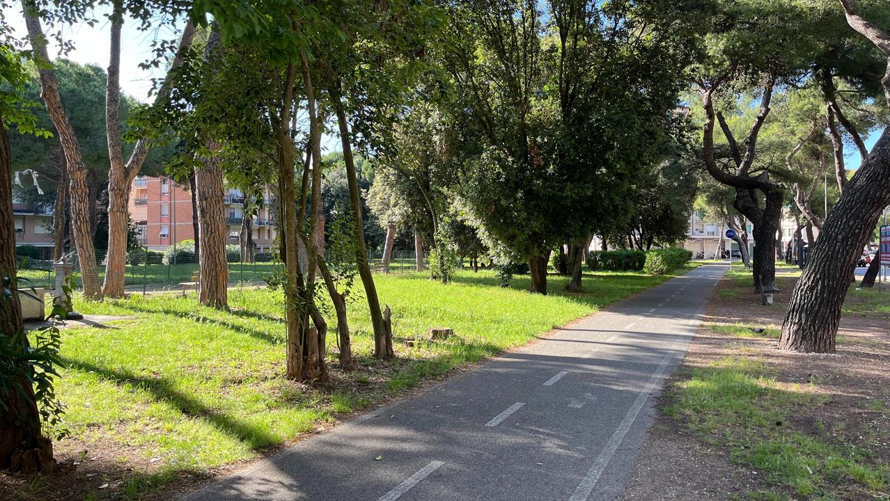 Via Carlo Lorenzini, a Livorno
