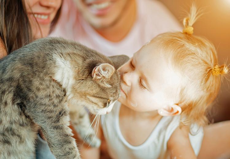 Pochi bambini e 850 cani, la proposta choc del sindaco: tassa sugli animali domestici contro la denatalità