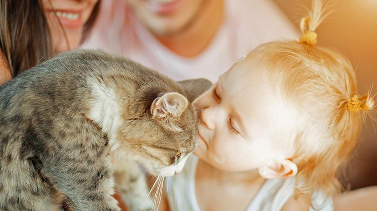 Pochi bambini e 850 cani, la proposta choc del sindaco: tassa sugli animali domestici contro la denatalità